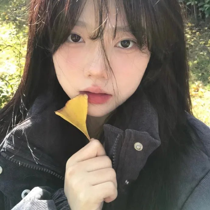 红色羊齿草的故乡